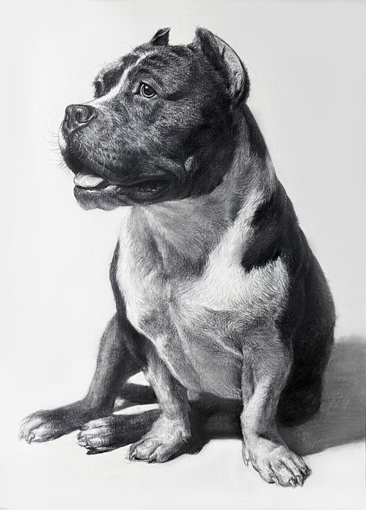 Custom Pet Portrait | Fine Art Pencil Drawing(Medium (15.5" × 11"))