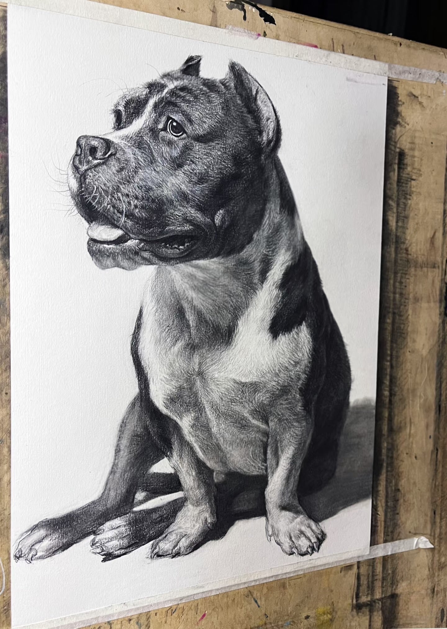 Custom Pet Portrait | Fine Art Pencil Drawing(Medium (15.5" × 11"))