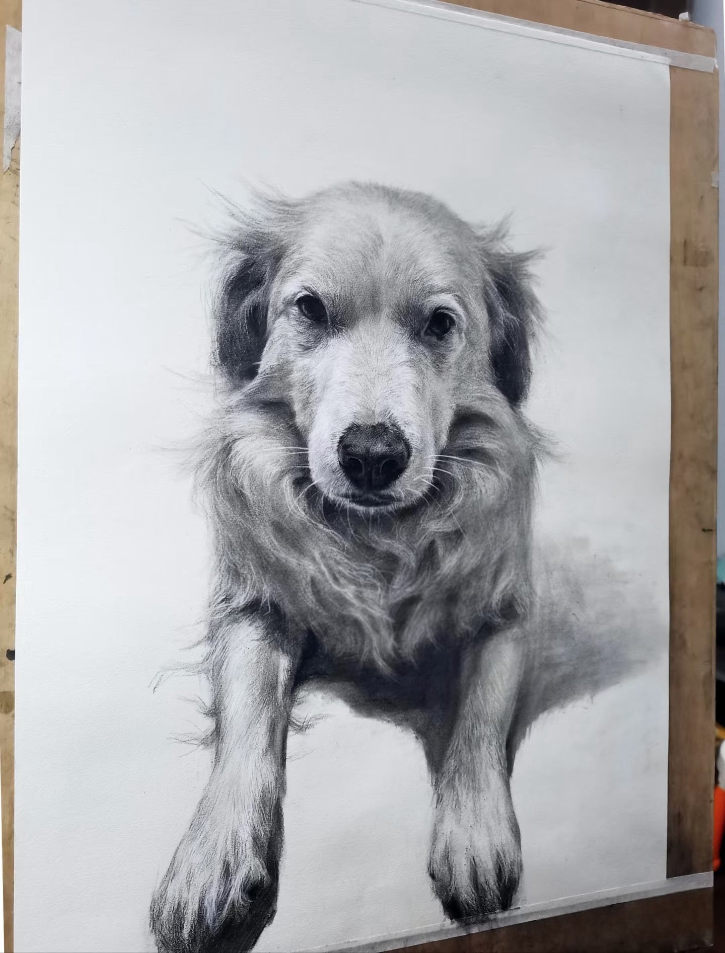 Custom Pet Portrait | Fine Art Pencil Drawing (Large (21.5" × 15.5"))